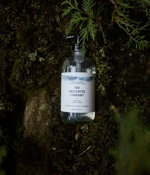 Hand Soap - Glass | The Unscented Company