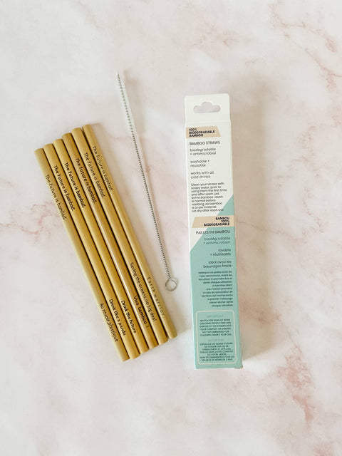 Bamboo Straws - Pack of 6