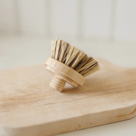 Scrub Replacement Head for Knob