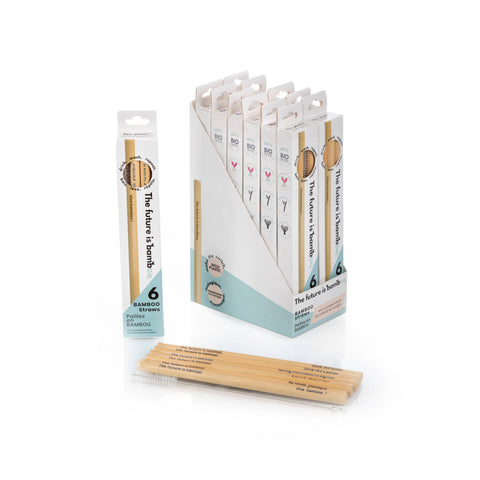 Bamboo Straws - Pack of 6